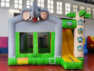 SALTARÍN SAFARI